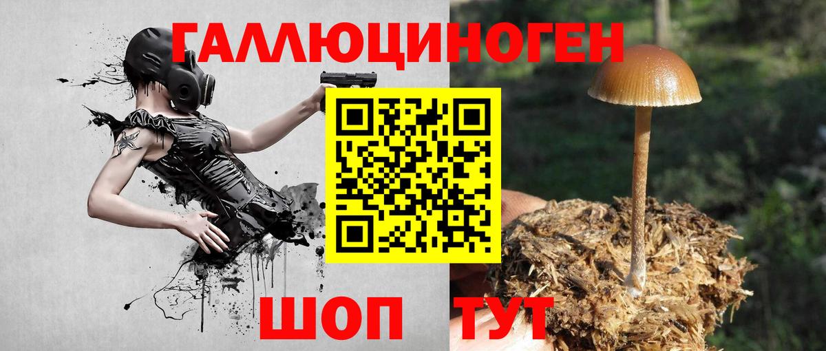 Галлюциногенные грибы Psilocybe  Вход с VPN  Галлюциногенные грибы Magic Shrooms  Киров 